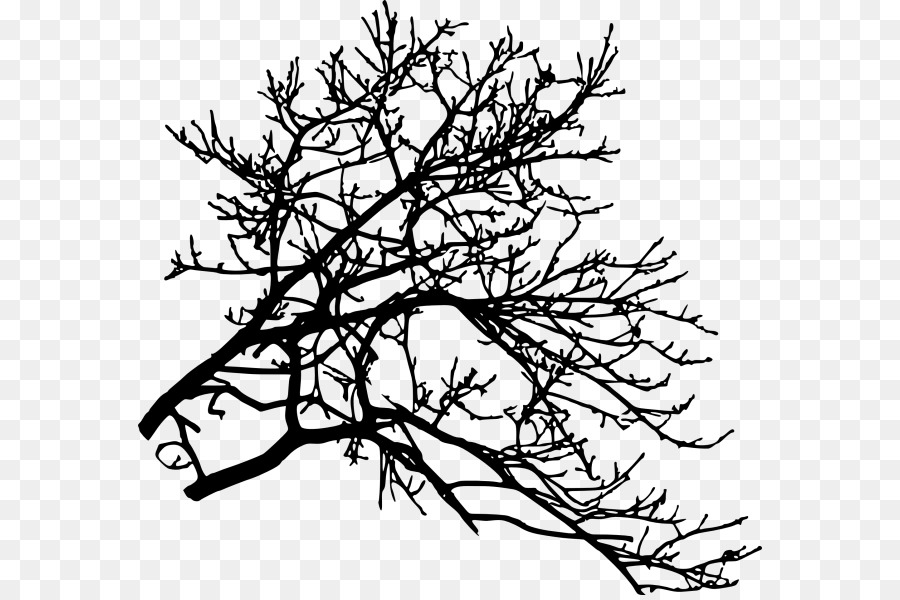 Twig Tree Branch - tree png download - 624*595 - Free Transparent Twig png Download.