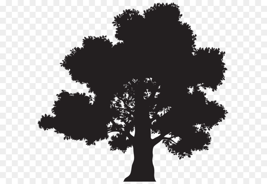 Oak Silhouette Tree Clip art - Tree Silhouette PNG Clip Art png download - 8000*7536 - Free Transparent Oak png Download.