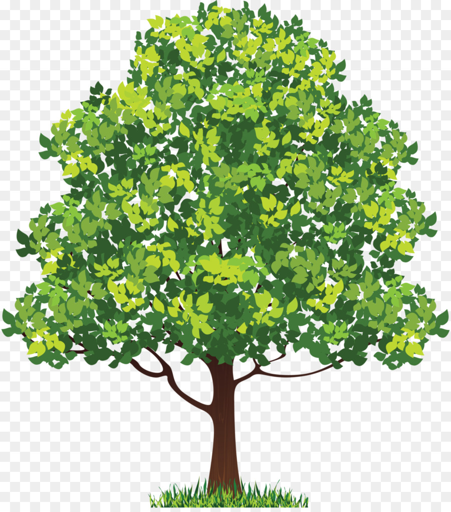 Neem Tree Clip art - feminine vector png download - 1138*1280 - Free Transparent Neem Tree png Download.
