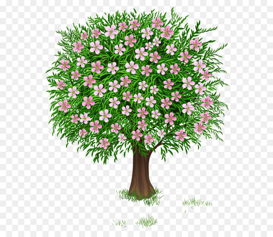 Tree Clip art - Spring Tree Transparent PNG Clipart Picture png download - 4470*5232 - Free Transparent Tree png Download.