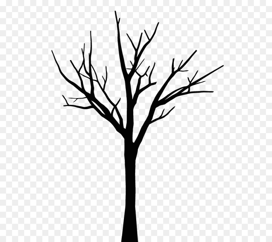 Drawing Tree Leaf Oak Sketch - tree png download - 603*800 - Free Transparent Drawing png Download.