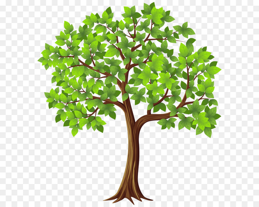 Tree Clip art - Tree PNG Transparent Clip Art Image png download - 5440*6000 - Free Transparent Tree png Download.