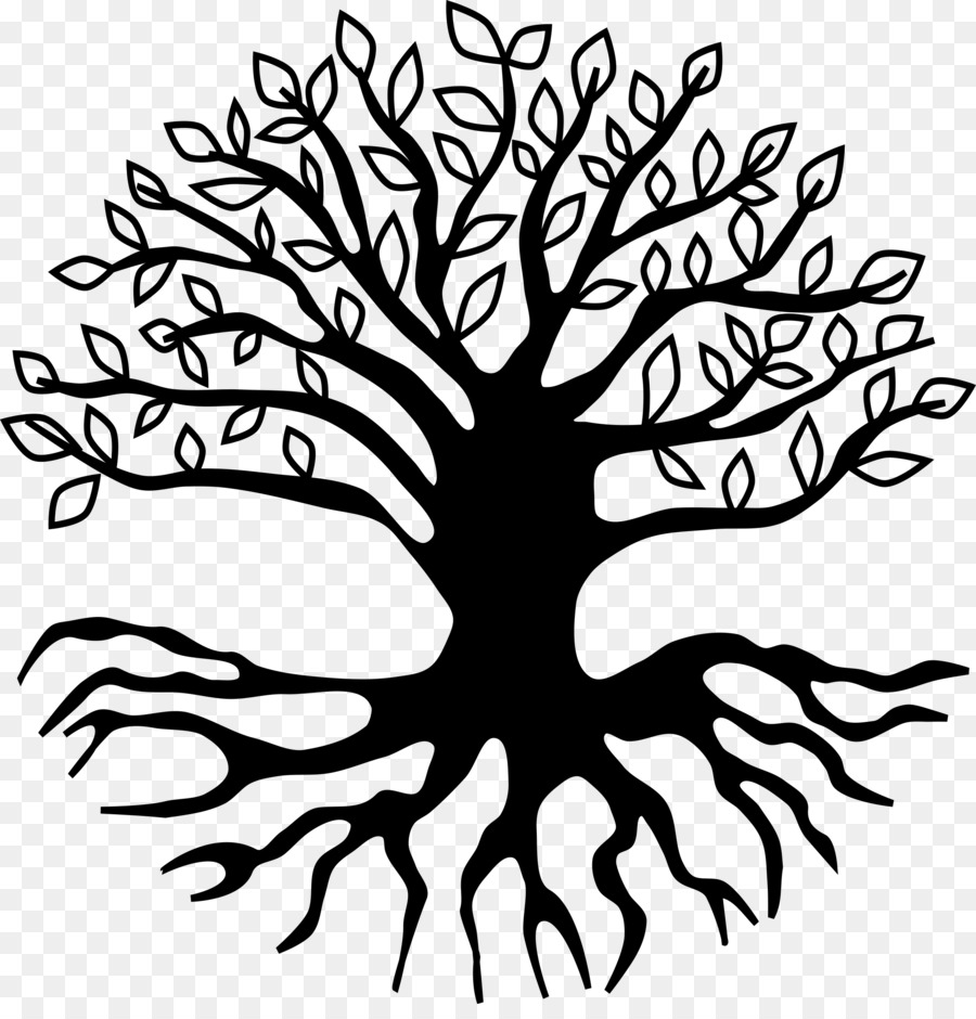 Root Tree Clip art - root png download - 2333*2400 - Free Transparent Root png Download.
