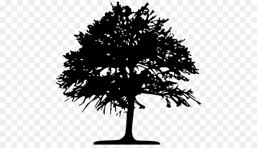 Tree Silhouette Drawing Clip art - tree png download - 512*512 - Free Transparent Tree png Download.