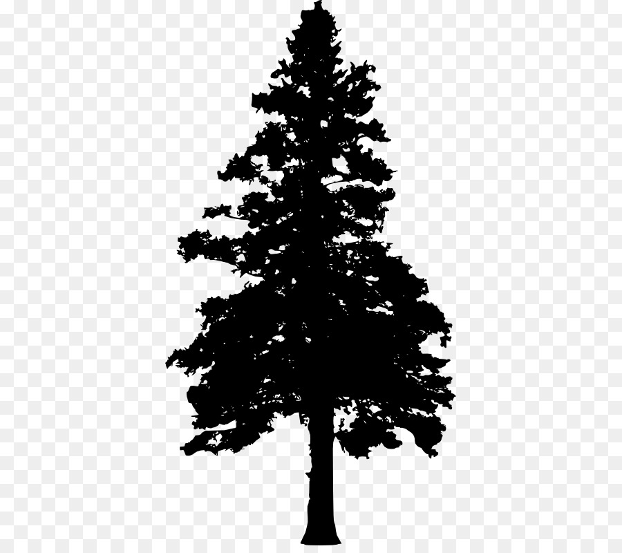 Pine Tree Evergreen Clip art - tree png download - 421*789 - Free Transparent Pine png Download.