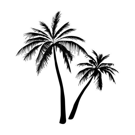 Arecaceae Tree Clip art - tropical forest png download - 512*512 - Free ...