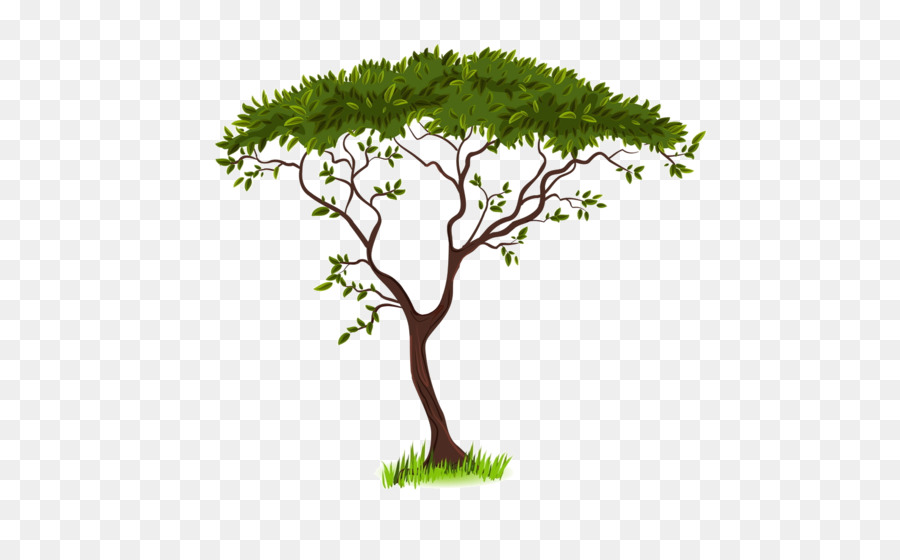 Savanna Silhouette Clip art - Green tree png download - 600*544 - Free Transparent Savanna png Download.