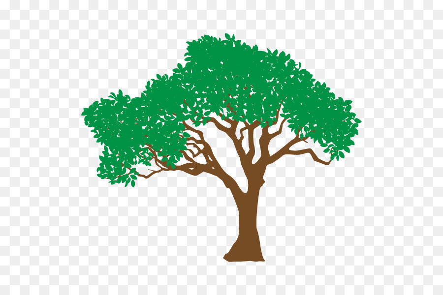 Broad-leaved tree Illustration Silhouette Design -  png download - 600*600 - Free Transparent Tree png Download.