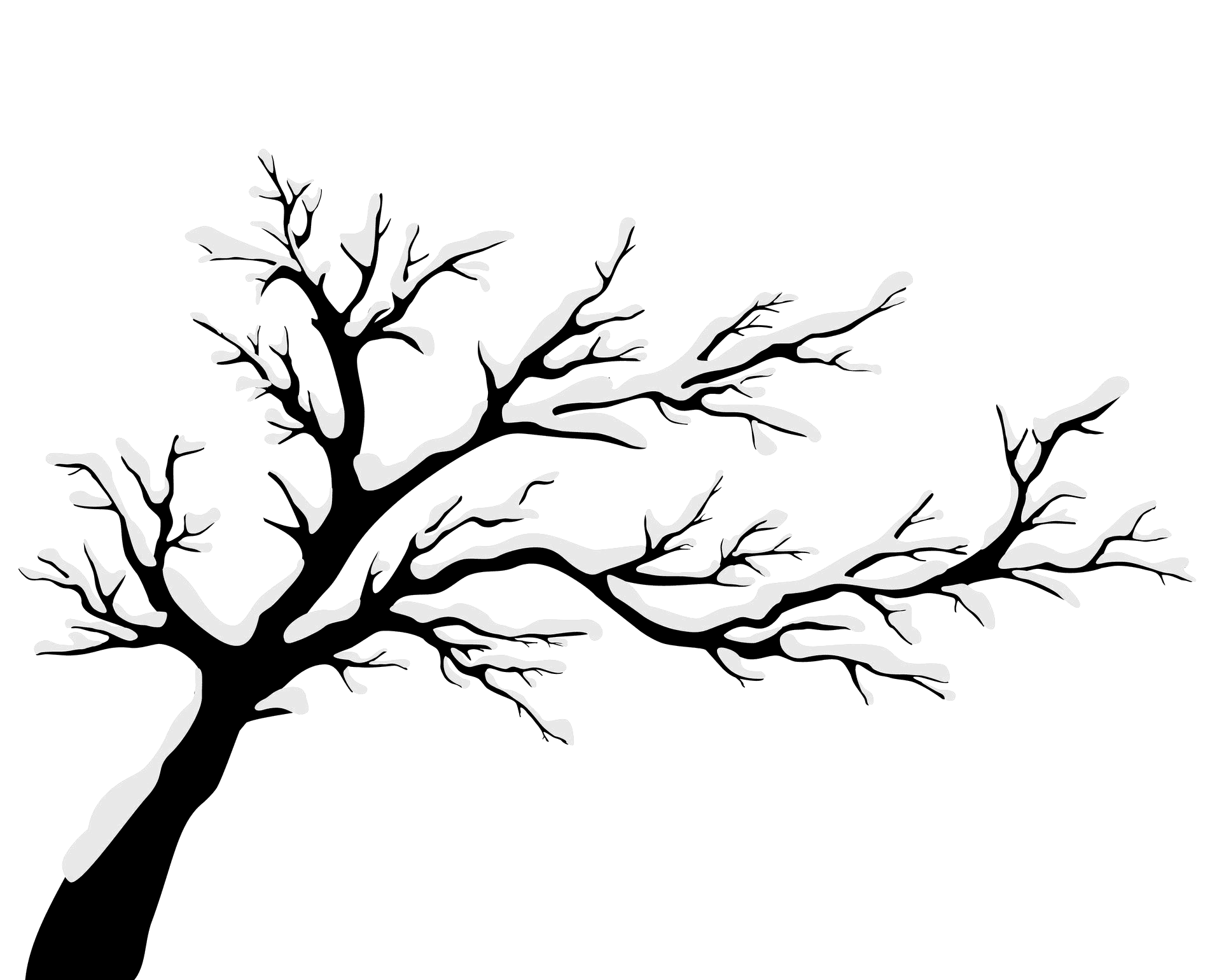 Download Free Download Silhouette Of Trees Png Full S - vrogue.co