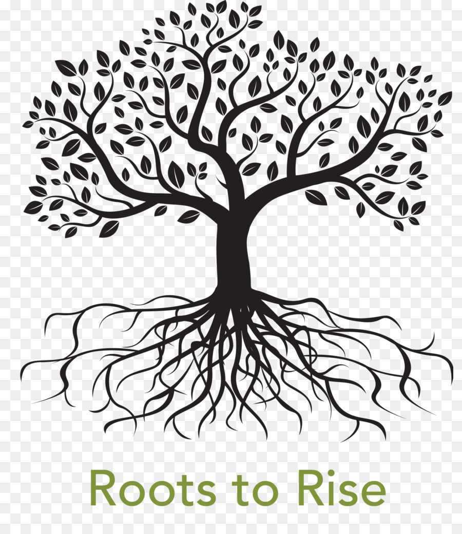 Clip art Vector graphics Root Tree Image - tree png download - 867*1024 - Free Transparent Root png Download.