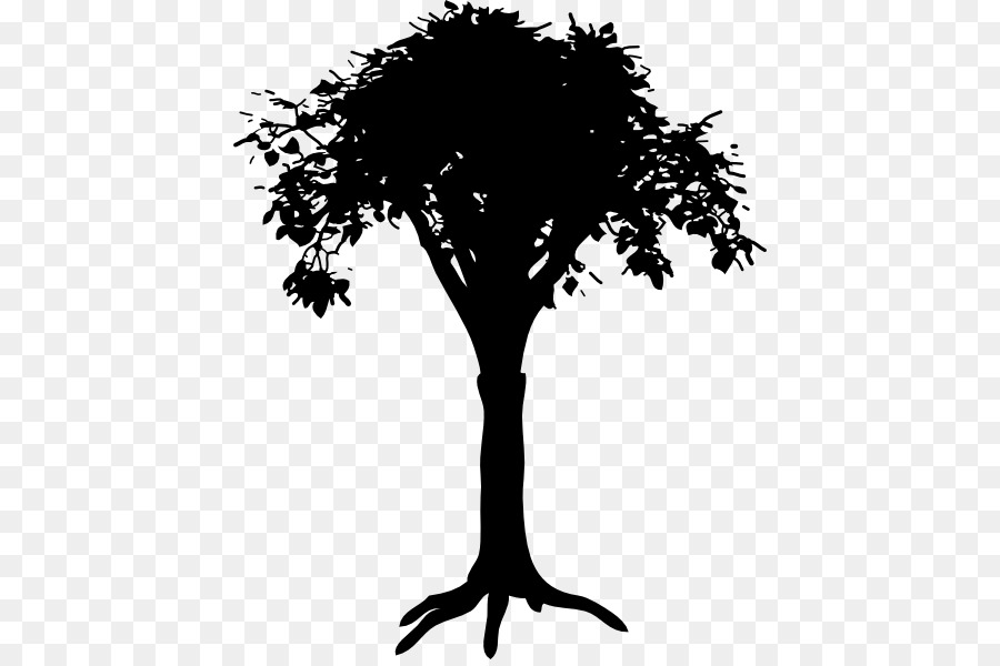 Root Tree Clip art - tree png download - 480*594 - Free Transparent Root png Download.