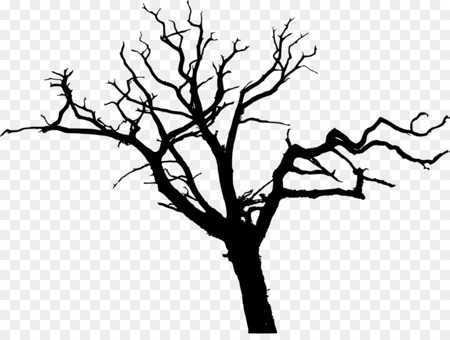 Tree Clip art - tree png download - 1024*759 - Free Transparent Tree png Download.