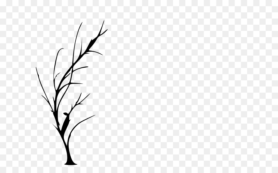 Tree Silhouette Drawing Clip art - Twig Cliparts png download - 800*558 - Free Transparent Tree png Download.