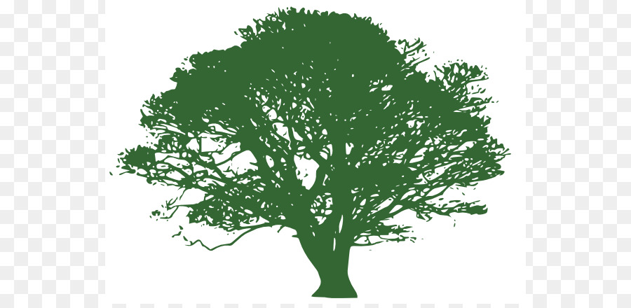Tree Blue Oak Clip art - Tree Transparent Background png download - 600*434 - Free Transparent Tree png Download.