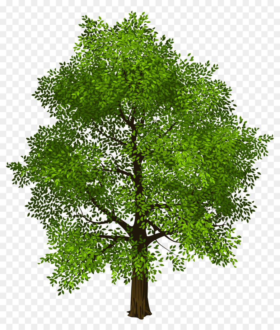 Tree Transparency and translucency Clip art - green tree png download - 4498*5270 - Free Transparent Tree png Download.