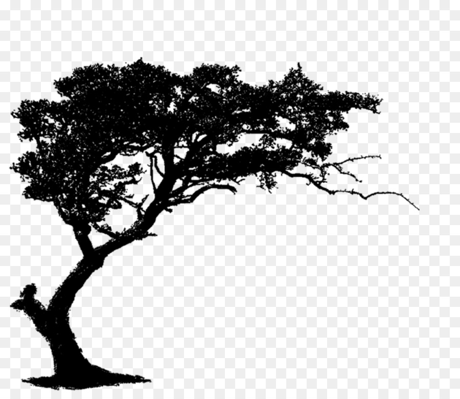 Tree Brush Clip art - tree vector png download - 1750*1500 - Free Transparent Tree png Download.