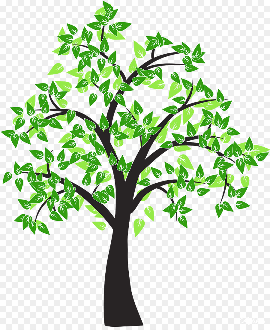 Tree Drawing Cottonwood Leaf - tree vector png download - 992*1200 - Free Transparent Tree png Download.