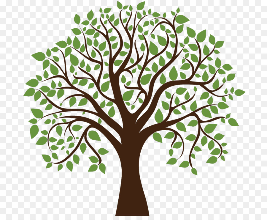 Tree Desktop Wallpaper Deciduous Clip art - maternal vector png download - 1058*855 - Free Transparent Tree png Download.