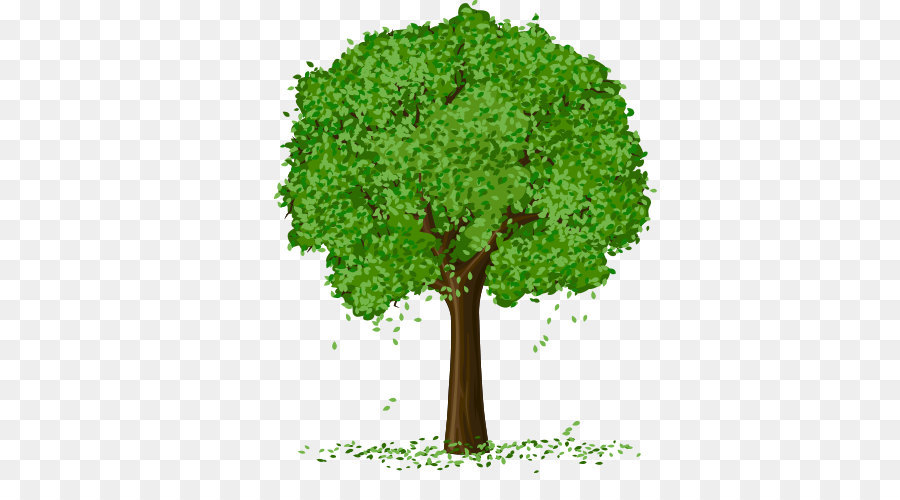 Spring Tree Vector png download - 500*500 - Free Transparent Tree png Download.