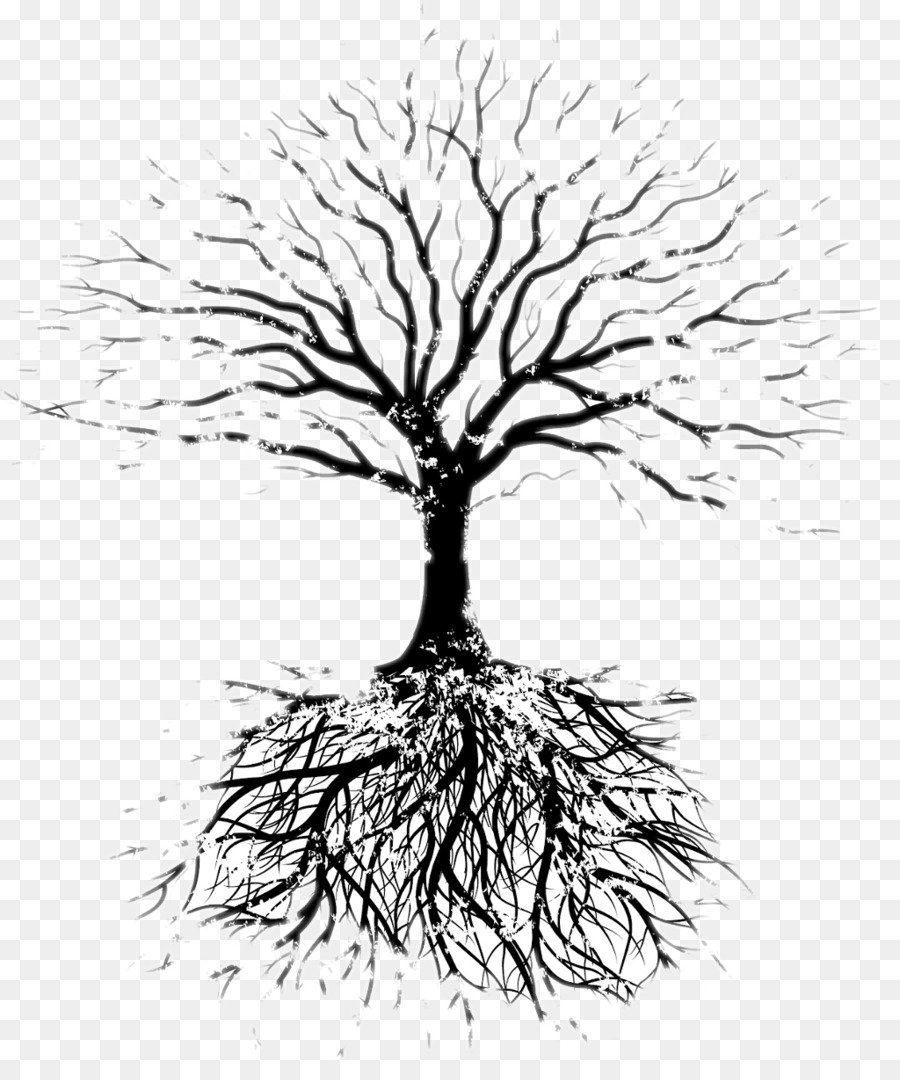 Tree Oak Root Branch - tree vector png download - 1024*1207 - Free Transparent Tree png Download.
