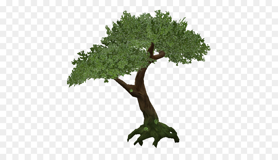 Tree Jungle - Jungle Tree PNG Transparent png download - 512*512 - Free Transparent Tree png Download.