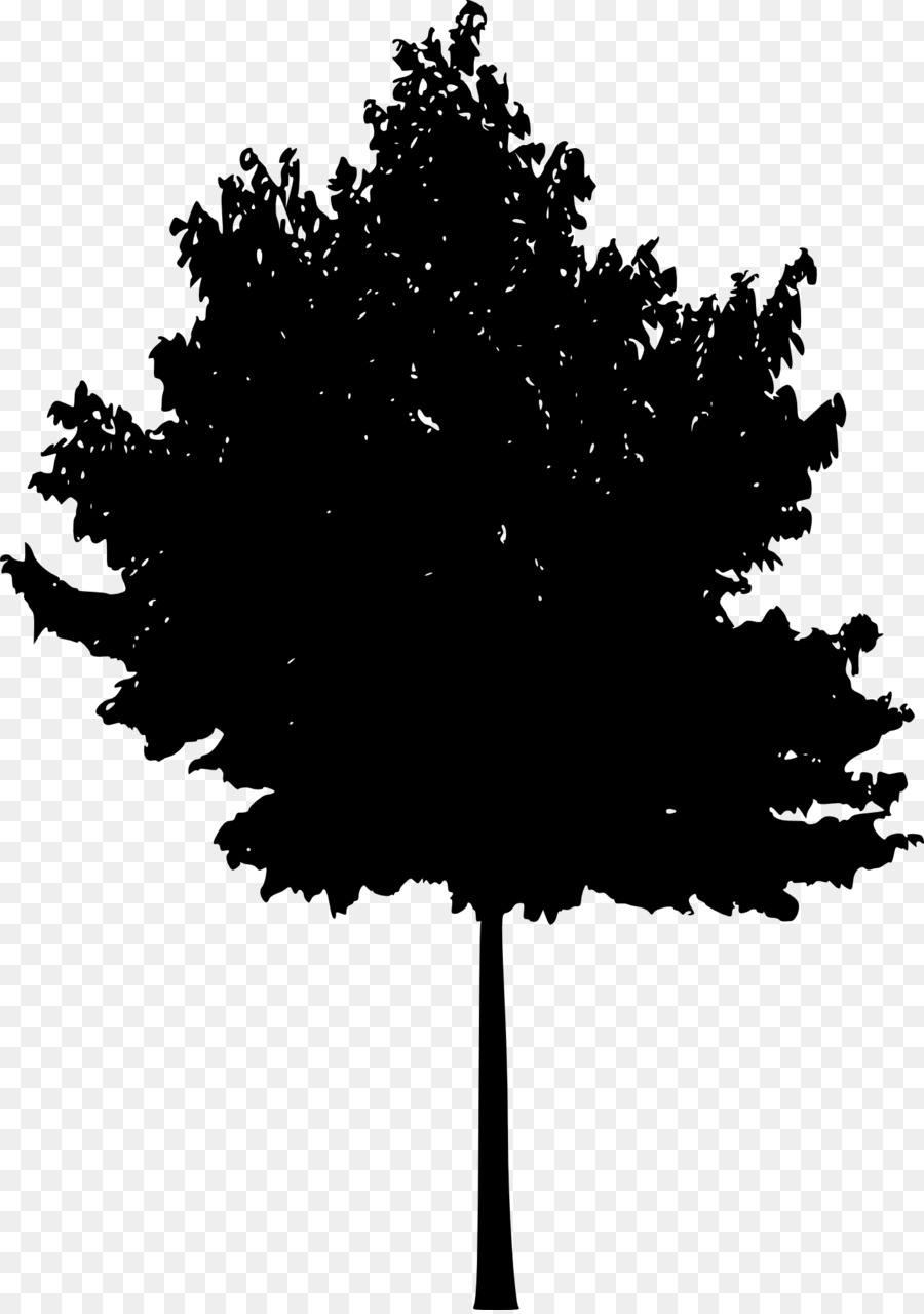 Tree Woody plant Silhouette - tree silhouette png download - 1411*2000 - Free Transparent Tree png Download.