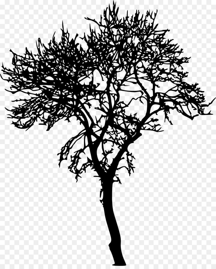 Tree Silhouette Woody plant Branch - tree transparent png download - 1088*1338 - Free Transparent Tree png Download.