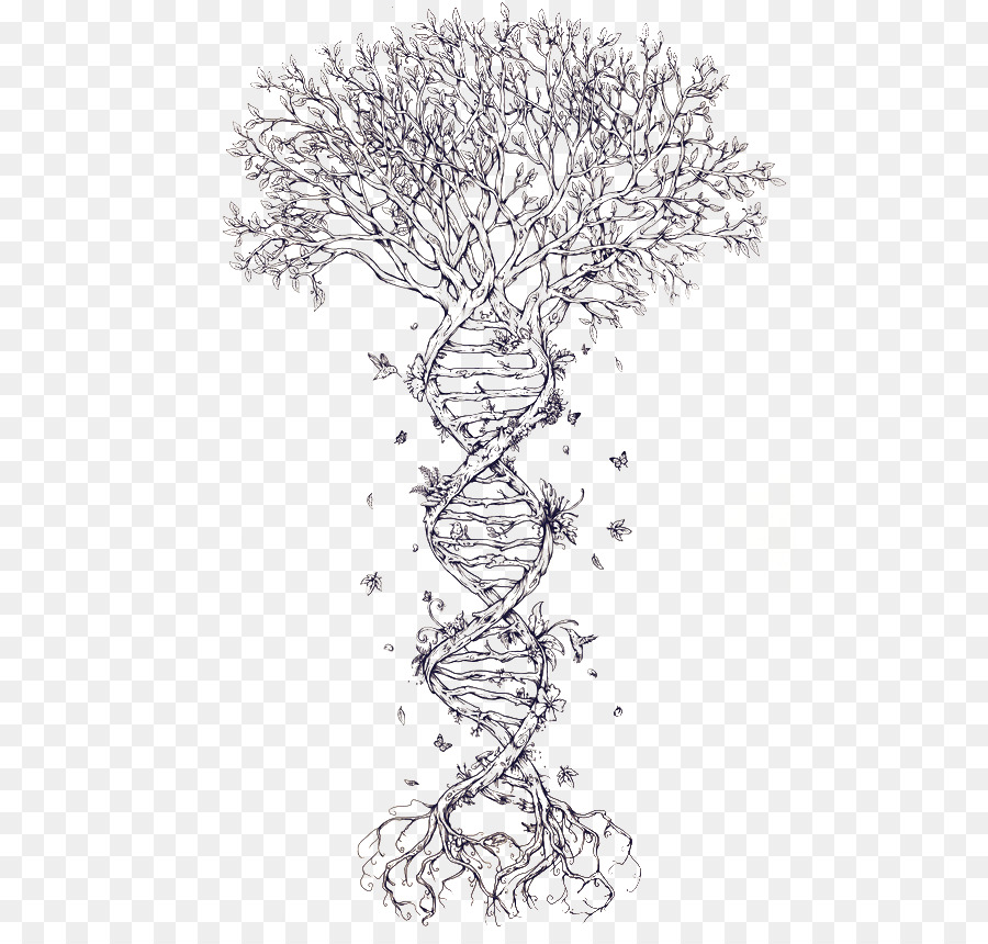 Family Tree DNA Tattoo Family Tree DNA Nucleic acid double helix - tree png download - 550*850 - Free Transparent Dna png Download.