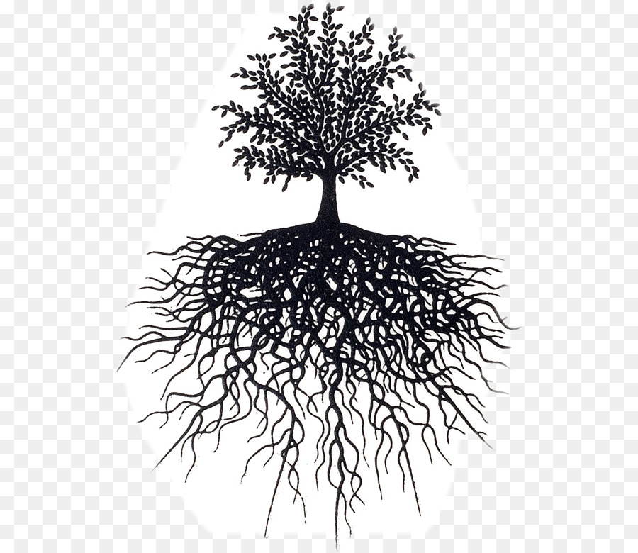 Reading the allegorical intertext Tree Life Design editorial Root - tree png download - 579*780 - Free Transparent Tree png Download.