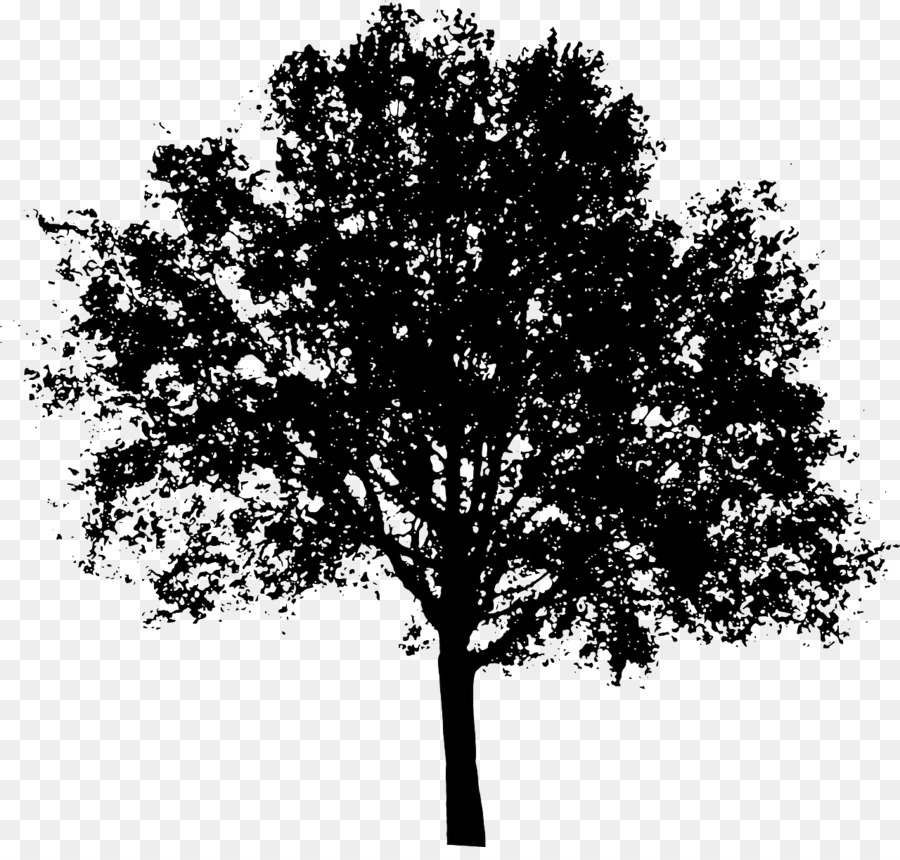 Portable Network Graphics Clip art Tree Vector graphics Image - tree png download - 1280*1204 - Free Transparent Tree png Download.