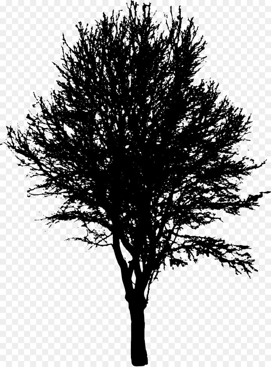 Tree Desktop Wallpaper Clip art - trees png download - 1478*2000 - Free Transparent Tree png Download.