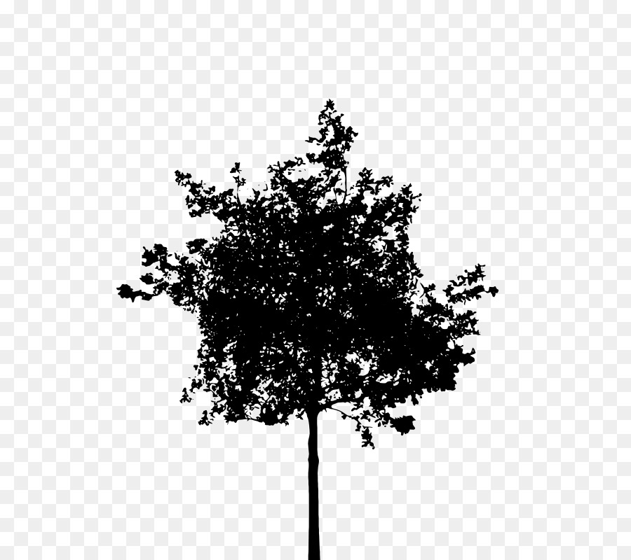 Tree Silhouette Branch Clip art - tree vector png download - 2344*1798 ...