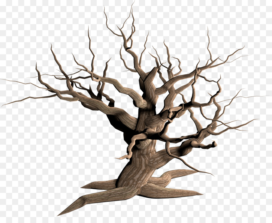 Tree Snag Clip art - tree transparent png download - 1280*1028 - Free Transparent Tree png Download.