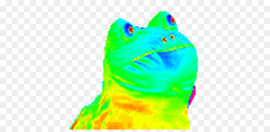 Frog GIF Tenor Toad Scaphiophryne gottlebei - trippy png download - 768*432 - Free Transparent Frog png Download.