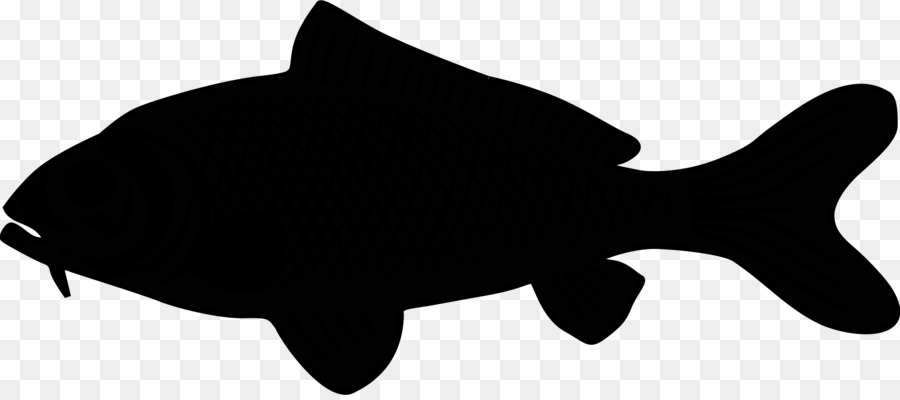 Marine mammal Black & White - M Clip art Silhouette Fish -  png download - 2400*1053 - Free Transparent Marine Mammal png Download.