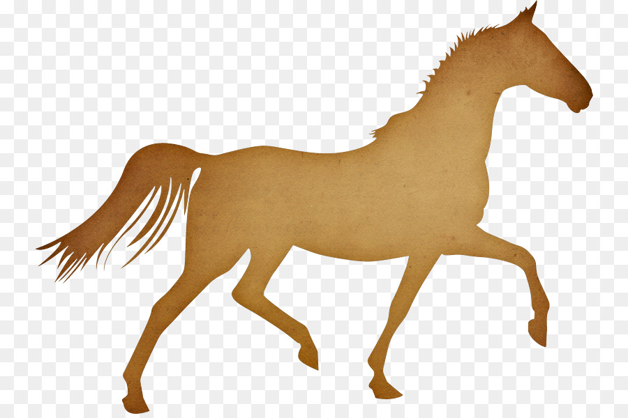 Pony Arabian horse Trot Cap Equestrian - Cap png download - 800*594 - Free Transparent Pony png Download.
