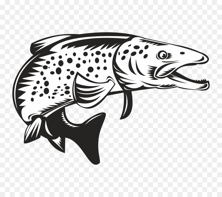 Brook trout Sea trout Clip art - others png download - 800*800 - Free Transparent Brook Trout png Download.