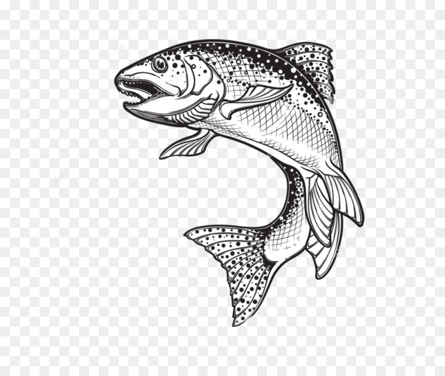 Rainbow trout Drawing Sketch Vector graphics Illustration - fish png download - 976*818 - Free Transparent Rainbow Trout png Download.