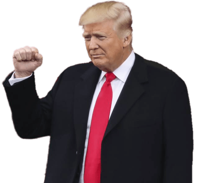 Donald Trump 2017 presidential inauguration - donald trump png download ...