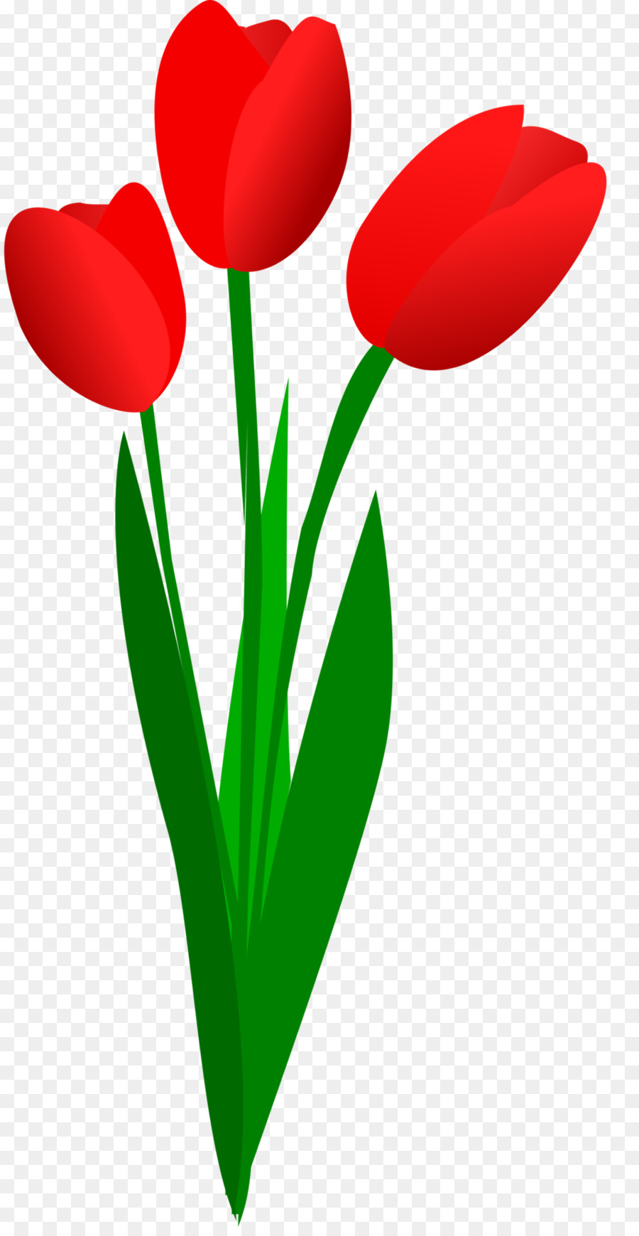 Tulip Free content Flower Clip art - Cliparts Tulip Bouquet png download - 958*1838 - Free Transparent Tulip png Download.