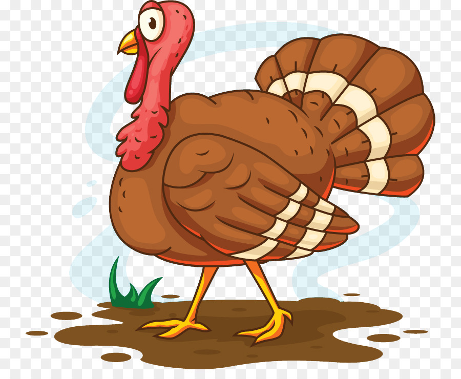 Turkey meat Cartoon Illustration - Thanksgiving turkey vector png download - 800*721 - Free Transparent Turkey png Download.