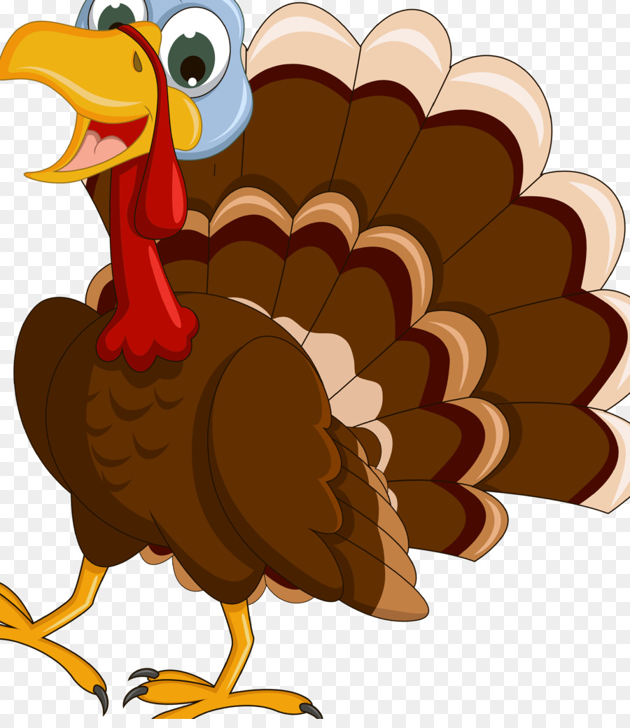 Turkey Cartoon Drawing Clip art - thanksgiving png download - 3002*3425 - Free Transparent Turkey png Download.