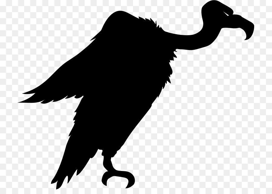 Bird Turkey vulture Silhouette Clip art - Bird png download - 785*625 - Free Transparent Bird png Download.