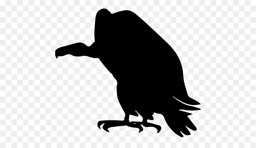 Turkey vulture Silhouette Clip art - Silhouette png download - 512*512 - Free Transparent Turkey Vulture png Download.