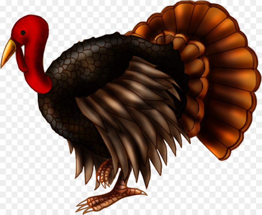 Turkey Phasianidae Drawing Desktop Wallpaper Clip art - turkey png download - 1800*1480 - Free Transparent Turkey png Download.