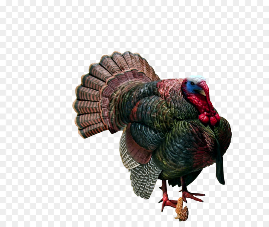 Domesticated turkey Sculpture Domestication Loon Lake Decoy Co - Turkey Transparent png download - 837*955 - Free Transparent Ocellated Turkey png Download.