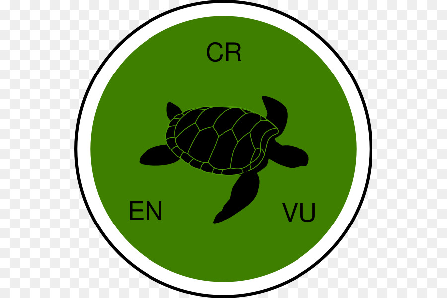 Sea turtle Clip art Silhouette Vector graphics - turtle png download - 600*600 - Free Transparent Turtle png Download.