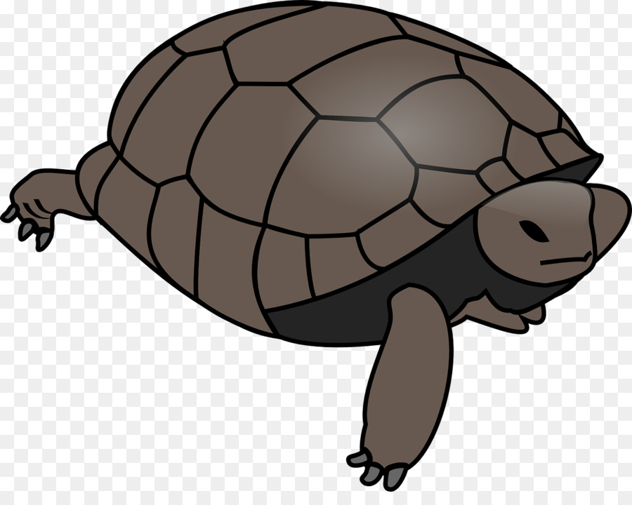 Turtle Clip art Openclipart Vector graphics Reptile - turtle png download - 1280*997 - Free Transparent Turtle png Download.