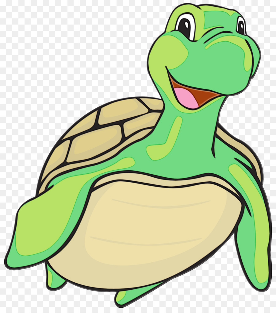 Turtle Clip art Portable Network Graphics Vector graphics Tortoise -  png download - 1340*1496 - Free Transparent Turtle png Download.