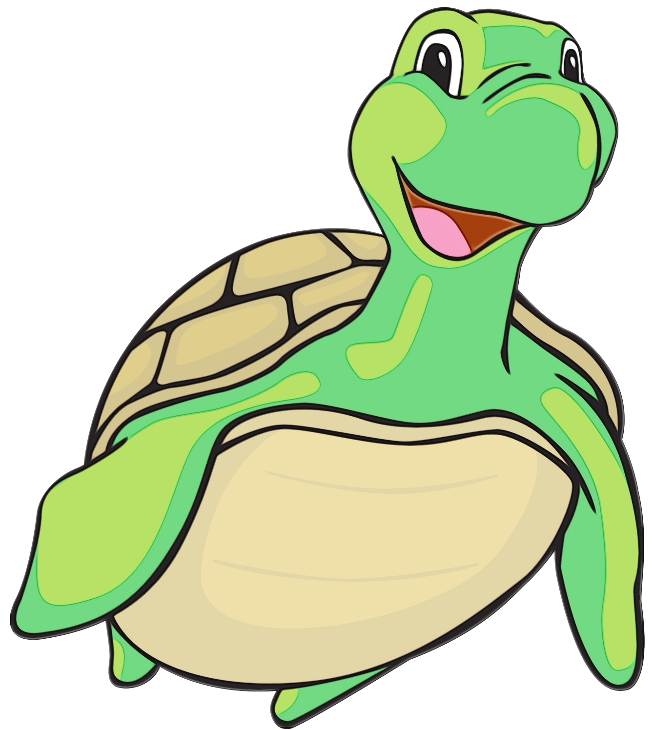 Turtle Clip art Portable Network Graphics Vector graphics Tortoise ...